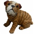 Michael Carr Designs Michael Carr Designs MCD80106 Bully-Bulldog Puppy; Medium MCD80106